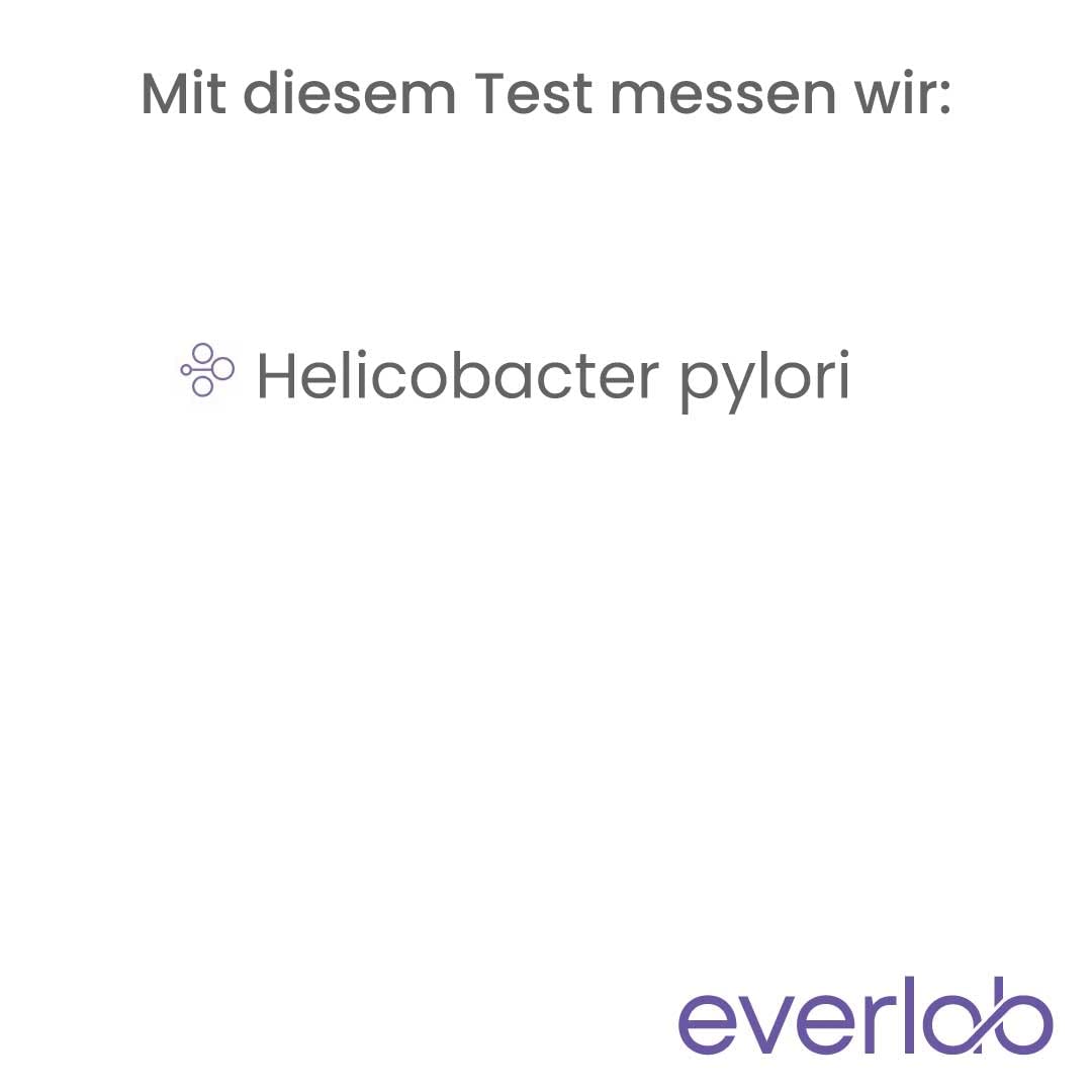 Helicobacter pylori Test – Helicobacter Antigen-Nachweis schnell & einfach von zuhause | Stuhltest | Selbsttest für Zuhause