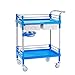 Chariot Utilitaire en Acier Inoxydable avec 2 Tiroirs Abs, Chariot à Outils à 2 Étagères avec Roues Silencieuses Pour Chariot à Main Mobile de Clinique Hospitalière/Bleu/65*45* , PIBM , Bleu , 65*45*