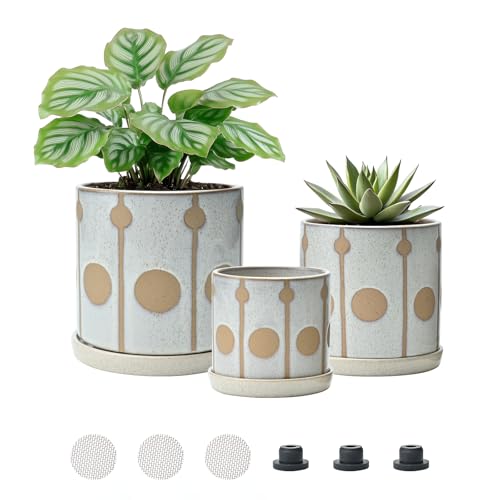 MyBudsBuzz Ceramic Plant Pots Planters with Drainage Hole and Saucer