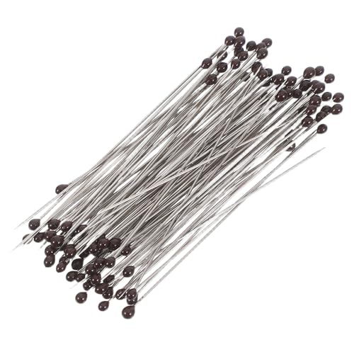 BAZEITFLOW Kit de 100 Alfileres de Acero Inoxidable para Entomología, Pasadores Rectos Nº 2, Puntas Ultrafinas, Reutilizables, para Montaje y Preservación de Especímenes Insectos Educativos