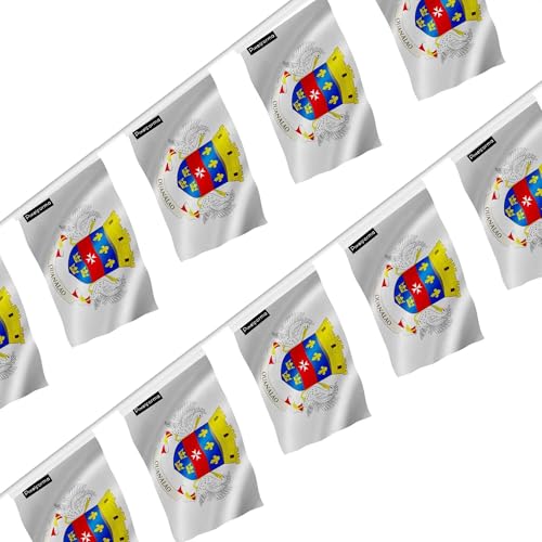 Guirlande drapeau Saint-Barthélemy 14x21cm 100 pièces pour décorer un grand espace sans effort