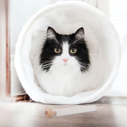 Frascos Acrílicos Madera para guardar bigotes de gato en un formato compacto y portátil 5