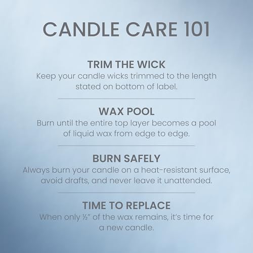 Yankee Candle 3 Wick Candle Jar, Scented Candle with up to 40 Hours of Burn Time, Premium Plant Wax Blend for Consistent Long Lasting Scent from First to Last Burn, Warm Luxe Cashmere