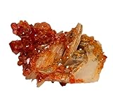  Vanadinite sur barytine Maroc Pierre minérale fossile de guérison cristal fossiles