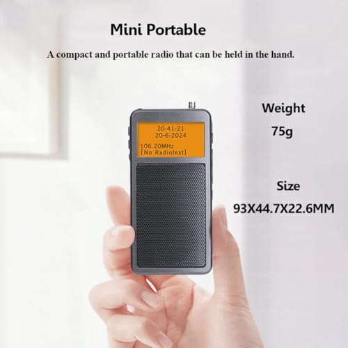 Haut-parleur Bluetooth sans fil compact contre les grésillements FM