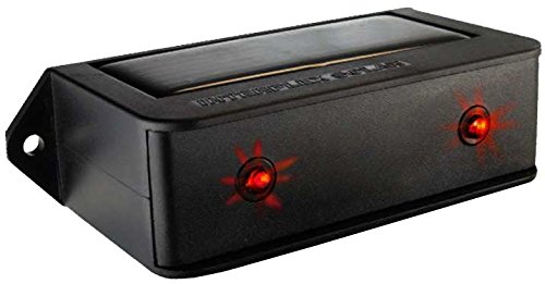 luce predatore per prua