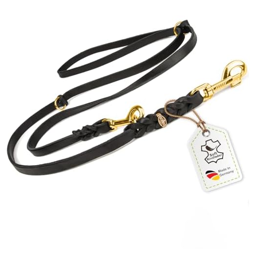 CopcoPet - Fettlederleine, Schwarz 2 m x 8 mm, 3-Fach verstellbare Hunde-Leine aus Leder mit Messing Karabinern, geflochtene Hunde-Führleine für kleine Hunde.