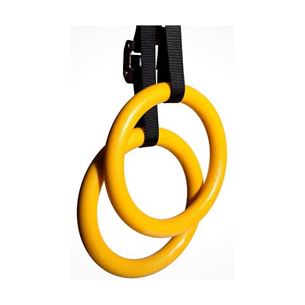 NAYOYA Gymnastic Rings Workout Set with Adjustable Straps for Full Body Strength Training and Bodyweight Crossfit… - Image 6