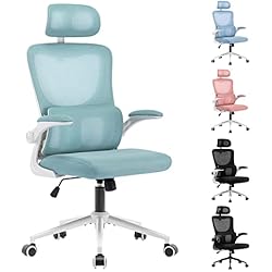 Despachador Agua LIYURUI Silla Ergonómica de Escritorio con Altura y Reposacabezas Ajustables, Soporte Lumbar, Malla Transpirable, Reposabrazos Acolchado, Silla de Oficina Giratoria de 360°, Inclinación de 125°