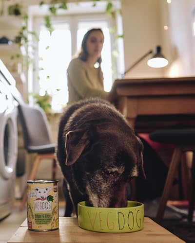 VEGDOG hypoallergenes Nassfutter für Senioren (6 x 400 g) | Adulte Hunde ab 7 Jahren | gut verdaulich | Alleinfutter für Allergiker mit Erbsenprotein