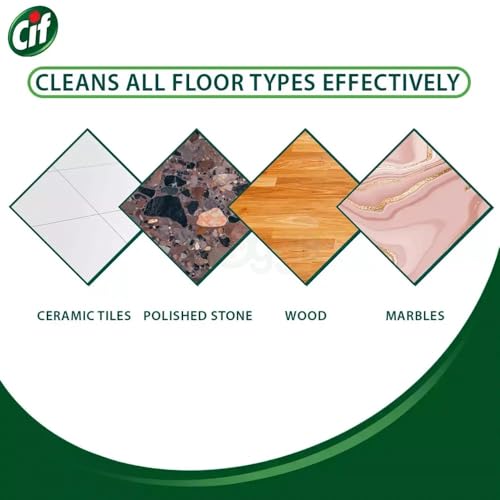Image of CIF FLOOR CLEANER SUMMER FLOWER AND MINT 1kg