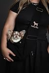 Noah & Paw Dog Sling Carrier for Small Dogs 3-10lb, Dog Sling for Small Dogs and Cats, Dog Carrier with Adjustable Padded Strap, Premium Denim, Lined with Fur, Double Safety Feature, Machine Washable