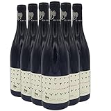 Saumur-Champigny Les Mémoires Rotwein 2020 - Bio - Domaine des Roches Neuves - g.U. - Loiretal Frankreich - Rebsorte Cabernet Franc - 6x75cl