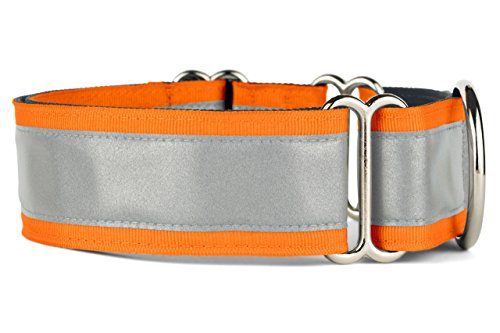 If It Barks - 1.5 Reflective Martingale Collar for Dogs - Adjustable - Made in USA - Strong, Durable, and Comfy - Ideal for Training - Suitable for Most Breeds - Medium, Orange