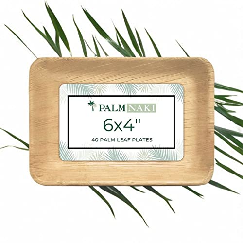 PALM NAKI Palm Leaf Plates | 6" x 4" Rectangle Plates | Compostable Bamboo-Style Decorative Plates | Events, Gatherings, and Everyday Elegance - 25 Pack - Image 5
