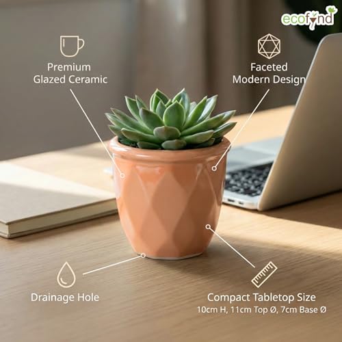 Image of ecofynd 4 Inch Ceramic Plant Pots with Drainage Hole, Modern Decorative Clay Flower Pots for Indoor Plants, Home Garden Decor for Living Room, Bedroom & Interior Spaces (CPOT043-PEH)