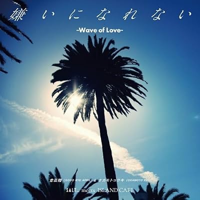 Kirai Ni Narenai / Wave Of Love