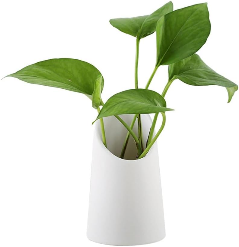 Ceramic Home Crafts Flower Ornaments Flowers Inserted and Elegant White Vase