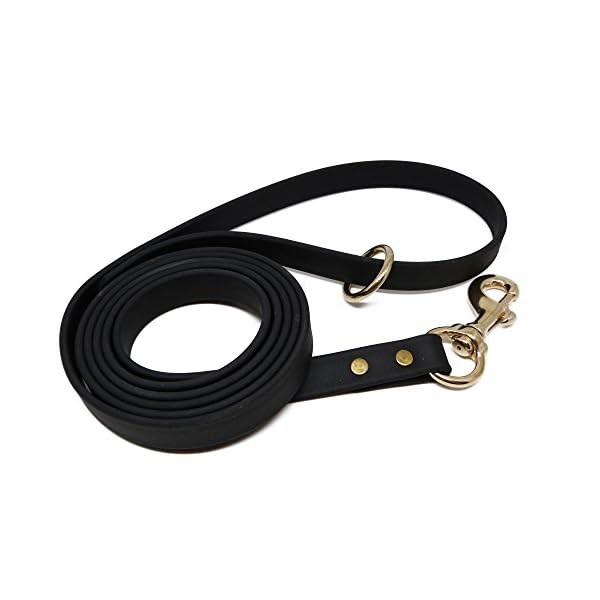 JimHodgesDogTraining Gummy Dog Leash – Premium Quality Biothane Dog Leash – 6 Feet – Different Sizes – Great Lead for Walking, Training, Hiking and Jogging with Your Dog – Made in The USA JimHodgesDogTraining Gummy Dog Leash – Premium Quality Biothane Dog Leash – 6 Feet – Different Sizes – Great Lead for Walking, Training, Hiking and Jogging with Your Dog – Made in The USA