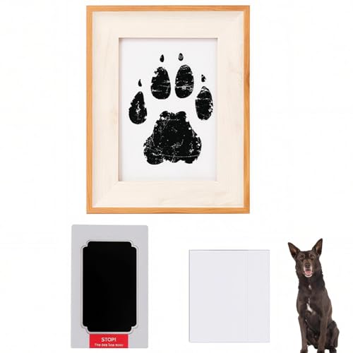 Lifetips I[XgAEPs[ ybgp  X^v Lbg ^  ``X^v `쐬Lbg LO  Ȃ `    ` ^ ȒP S y Ճpbh IWi vg ] A