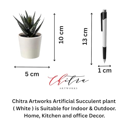 Image of Artificial Plants Fern with Pot for Home, Office, Living Room & Counter Decoration | Realistic Faux Greenery for Indoor Use | Durable Plastic Pot (5)