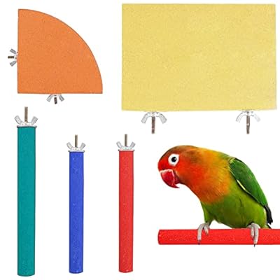 Yontree Bird Parrot Perches, Natural Wood Bird Perch Stand Platform, Paw Grinding Clean Chew Stick Set, Bird Cage Accessories for Small Medium Bird Parakeets Cage Training