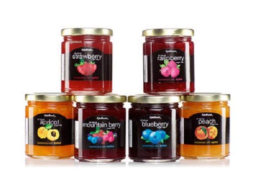 Xyloburst Sugar Free Xylitol Jam Jelly Keto and Diabetic Friendly, Gluten Free, Non - GMO, Vegan 10 Ounce Glass Jar - Made in the USA 6 Pack Variety Flavors - Real Fruit
