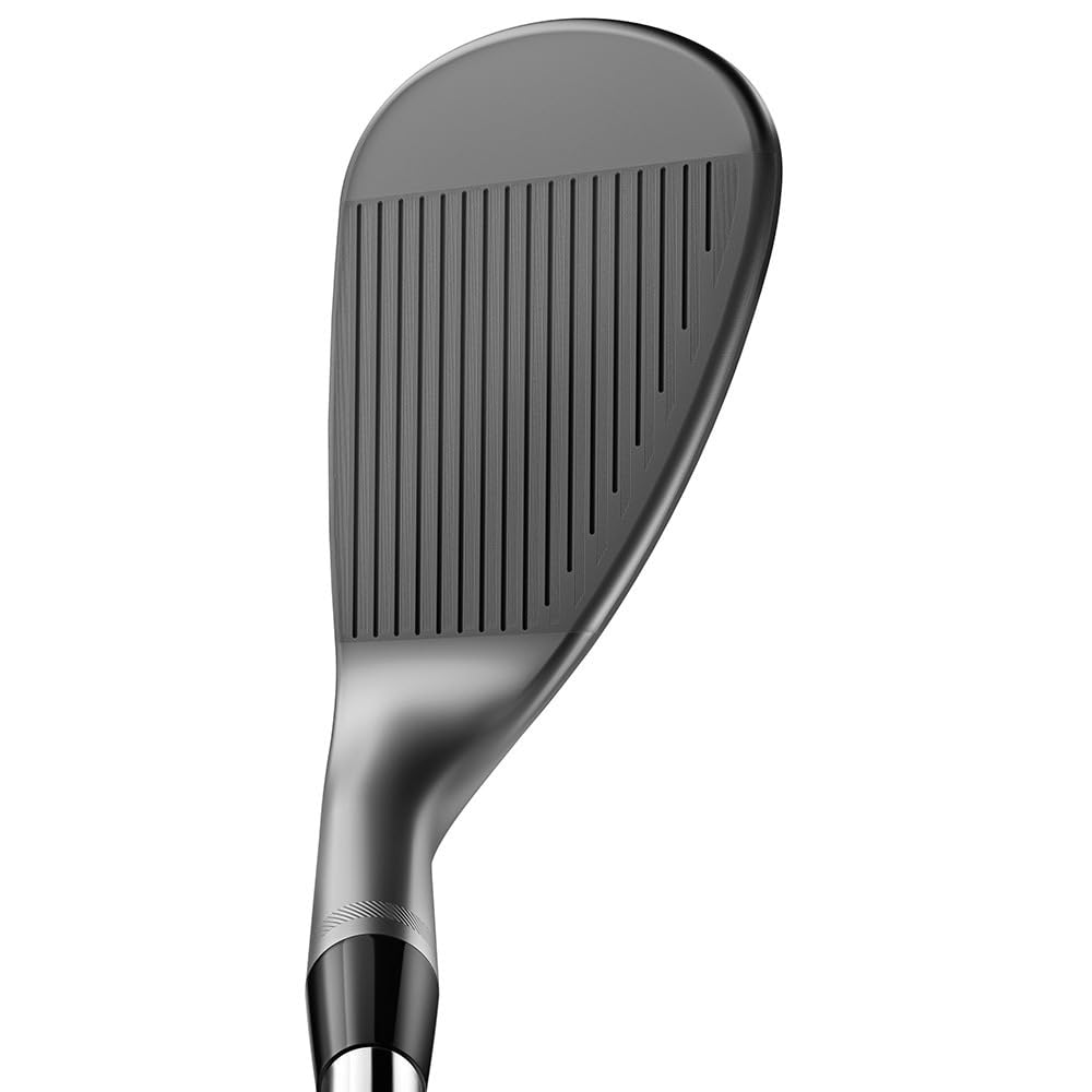VOKEY SM10 ウェッジセット 50 54 58 DG S200 Amazon | Titleist Wedge Vokey SM10ニッケルDG S200 5808M