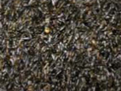 Negrillo semilla para Aves, Canarios jilgueros, periquitos ninfas, Bolsa 10kg