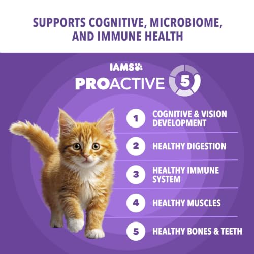 IAMS Proactive Health Healthy Kitten Dry Cat Food, Chicken, 7 lb