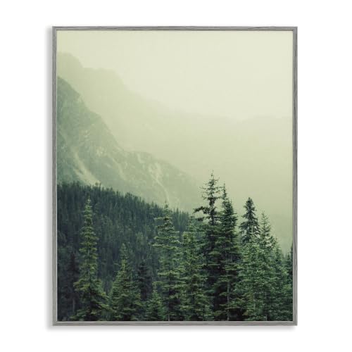 Mountain Fog Woodland Landscape, 24 x 30 Inch Framed Giclée Print