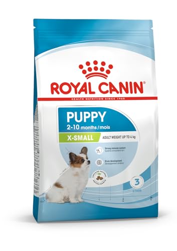 Royal Canin X-SMALL Puppy | 500 g | Trockenfutter für Welpen sehr kleiner Hunderassen | Kann zur normalen Funktion des Immunsystems beitragen | Mit Omega-3