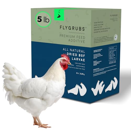 FLYGRUBS Superior To Dry Mealworms For Chicken