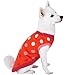 Blueberry Pet All Time Favorite Rosy Pink and Red Polka Dots Designer Dog Sweater, Back Length 16