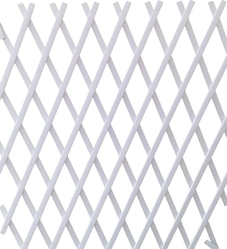 NG NICCOLAI - TRALICCIO ESTENSIBILE IN PLASTICA VARI COLORI E MISURE (1X1 MT, BIANCO)