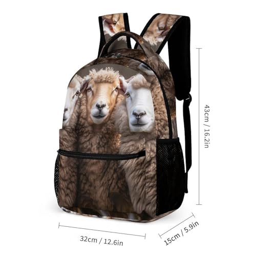 Three Sheeps 3 PCS Backpack Set Casual Daypack with Insulated Lunch Bag & Pencil Case2