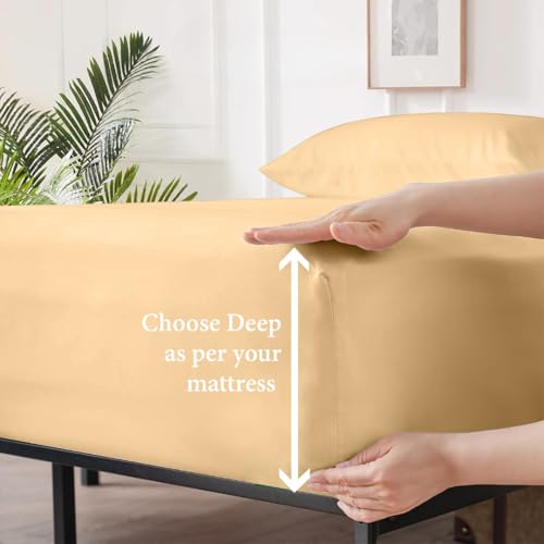 Apsley Linen Solid Color Egyptian Cotton 6-PCs Sheet Set (1 Fitted, 1 Flat, 4 Pillowcase) Fits 15-18'' Deep Pocket High Thread Count Long Staple Sateen Weave Silky Soft Breathable (Queen, Beige)