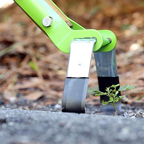 AMES 2825800 Action Hoe with Hardwood Handle, 58-Inch