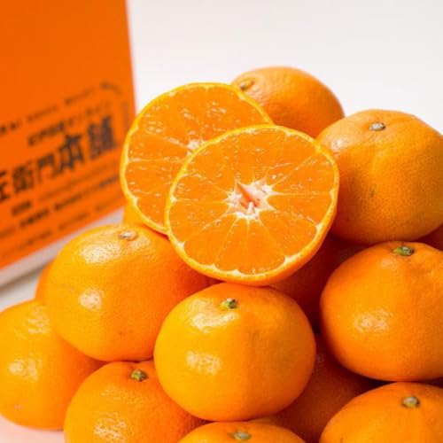 [先行予約]有田みかん[Lサイズ]秀品5kg/紀伊国屋文左衛門本舗