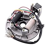2 Coil Ignition Magneto Stator Plate for 50cc 70cc 90cc 110cc 125cc Taotao Kazuma SSR Baja ATV Quad Dirt Kick Bike 4 Wheeler