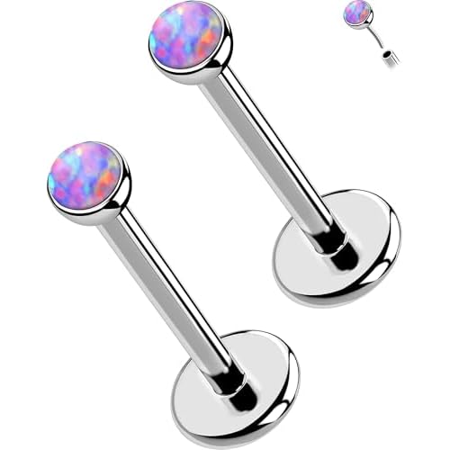 OUFER 2PCS 16G/20G Nose Lip Studs, G23 Solid Titanium Threadless Push in Nose Nostril Lip Labret Medusa Monroe Helix Cartilage Tragus Conch Lobe Piercing Jewelry for Women Men Silver bar,Pur