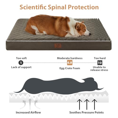 Image of WNPETHOME Orthopedic Dog Bed for Large Dogs, Extra Large Waterproof With Removable Washable Cover & Anti-Slip Bottom, Egg Crate Foam Pet Mat, Multi-Needle Quilting XL Crate Bed