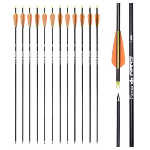 28 inch Carbon Arrow Hunting Arrows with 100 Grain Removable Tips for Archery Compound & Recurve & Traditional Bow Practice Shooting (Pack of 12)