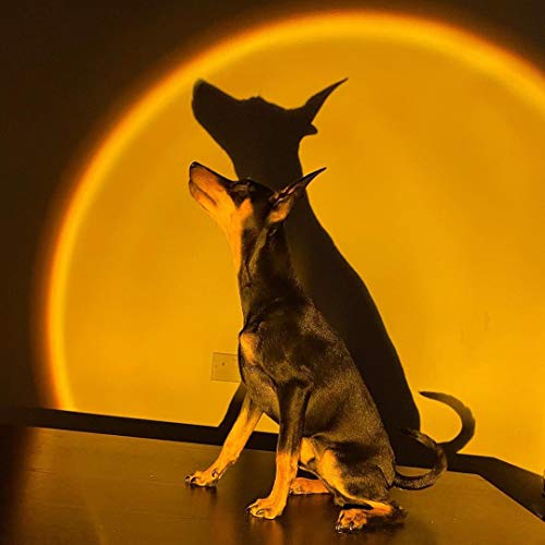 Lâmpada de pôr do sol, projetor de luz do sol com rotação de 180 graus, luz noturna LED, carregament