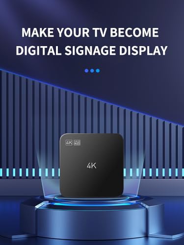 Lunzn Digital Signage Advertising Display Box Commercial AD Media Player for Restaruant Shopping Mall Marketing Business (YM05/1+8G)