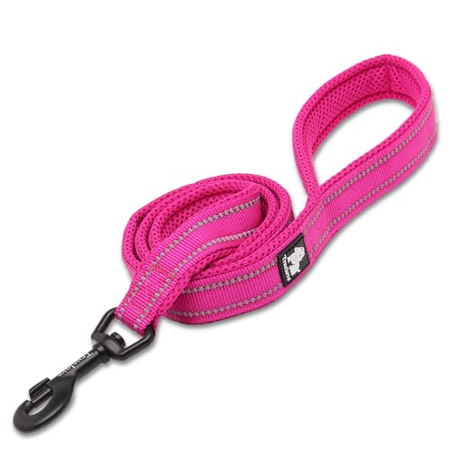 TRUE LOVE Guinzaglio riflettente per cane, lunghezza 110 cm TLL2111 (Fucsia, M)