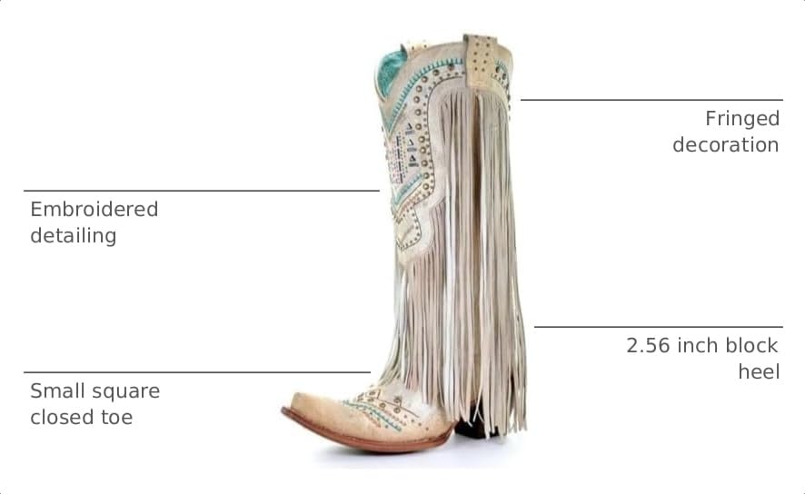 Image of LISHAN Women's Western Cowboy Cowgirl Boots Fringed Tassel Block Heels Embroidered Calf High Boots