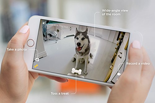 [2017 Item ] Petcube Bites Pet Camera With Treat Dispenser: Hd 1080P Video Monitor, 2-Way Audio, Night Vision, Sound And Motion Alerts. For Dogs And Cats #TOP3