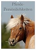PERFEKTES GESCHENK - Kalender für Freunde und Familie, für Kinder und Erwachsene, jung und alt, zu Weihnachten, Geburtstag oder zwischendurch.