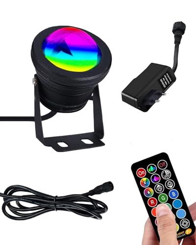 Richsing RGB Strahler 12W Außen Mit Fernbedienung, Farbwechsel Gartenbeleuchtung Spotlight, IP67 Wasserdicht Spots für Poolbeleuchtung, Hinterhof, Garage, Flur
